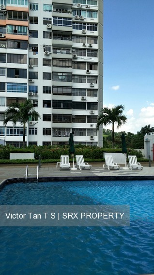 Bukit Timah Plaza / Sherwood Towers (D21), Apartment #195799512